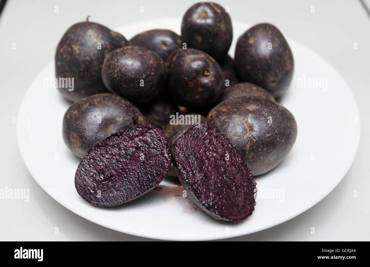 Черный принц сорт картошки