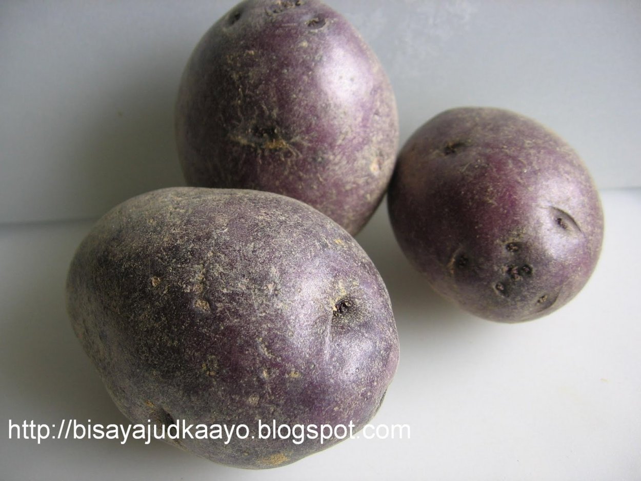 Черный принц сорт картошки