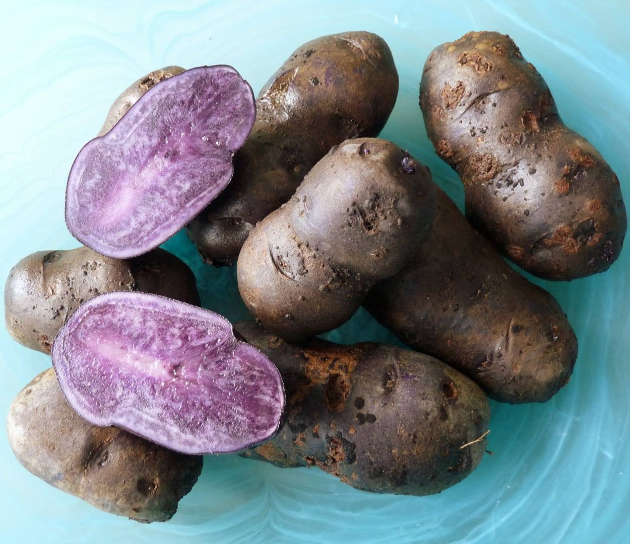 Картофель черный принц