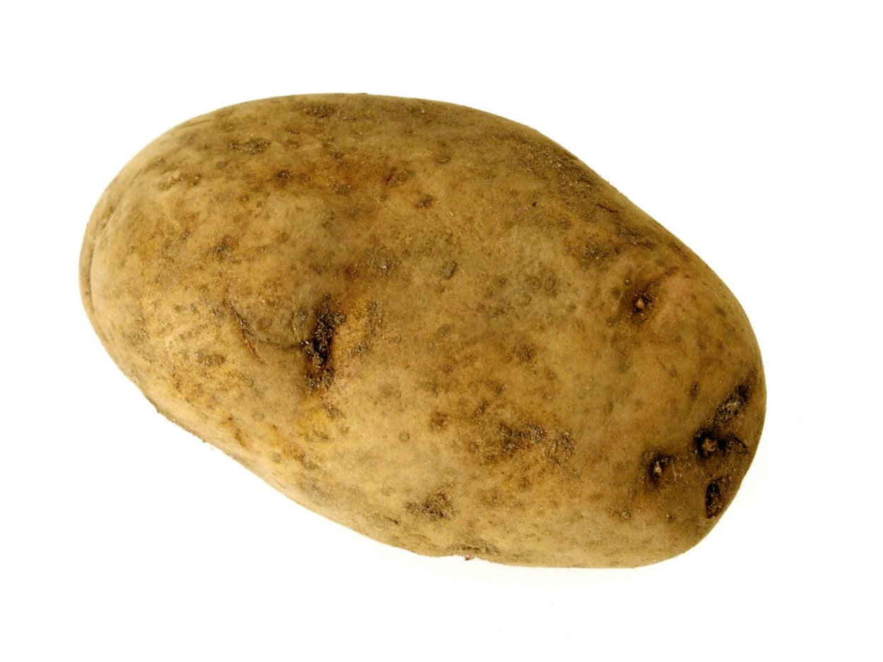 Картофель сорт Арлекин