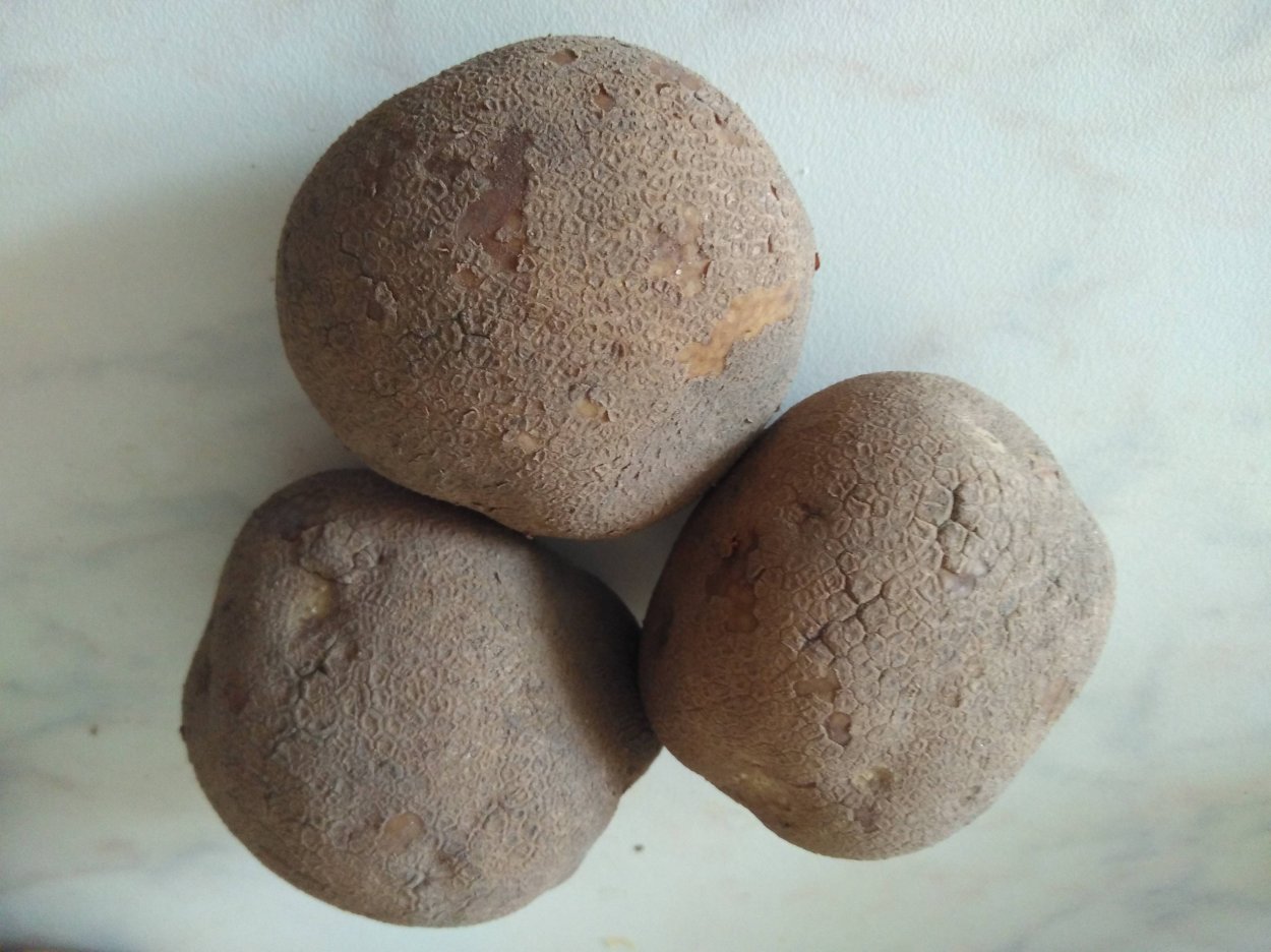 Картофеля фиолетовый Блэк Элиза.