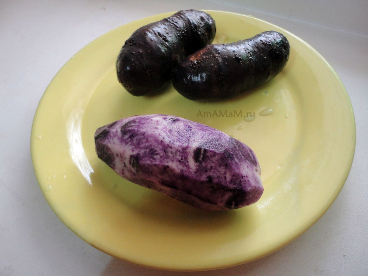 Картофель Purple Majesty