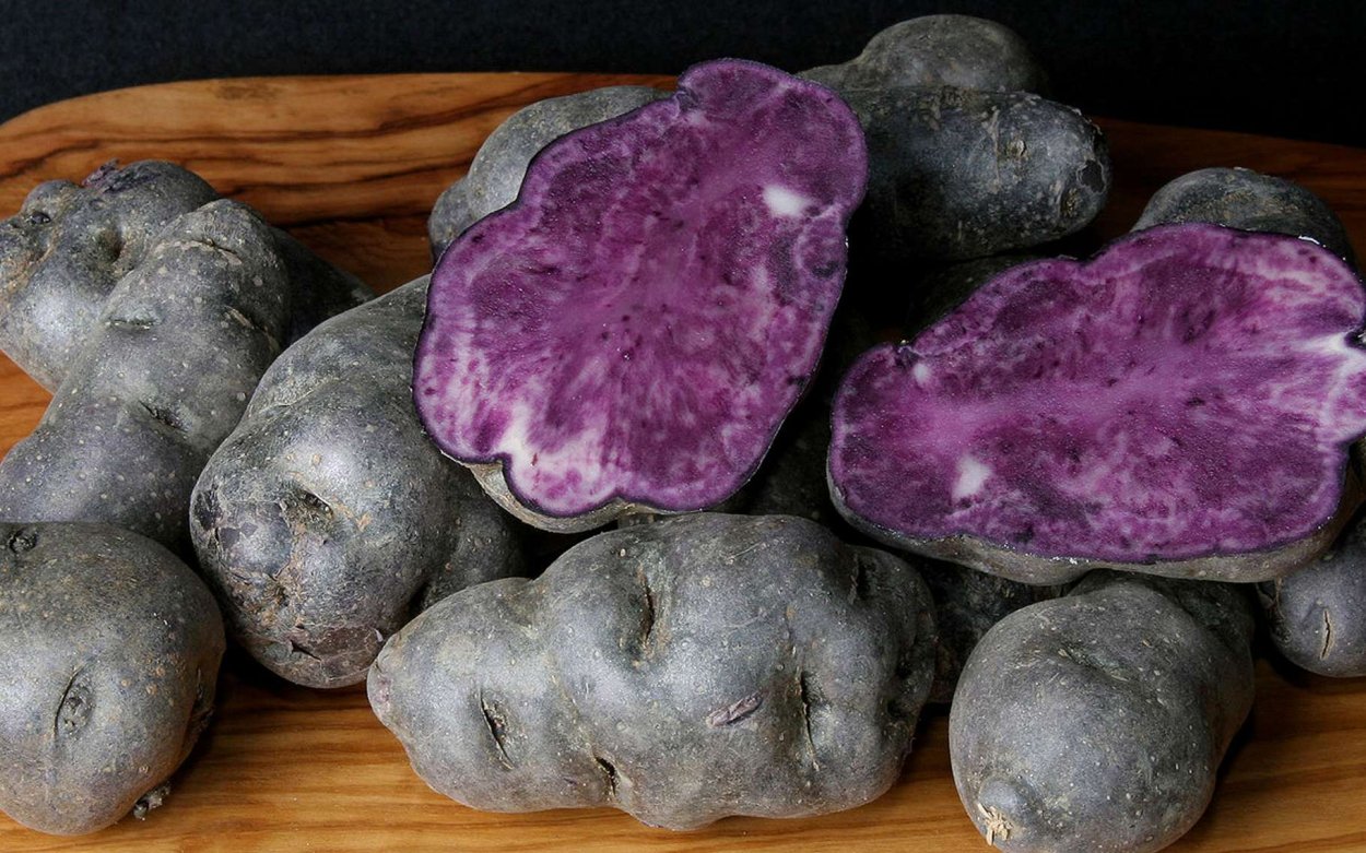 Черный Питер картофель