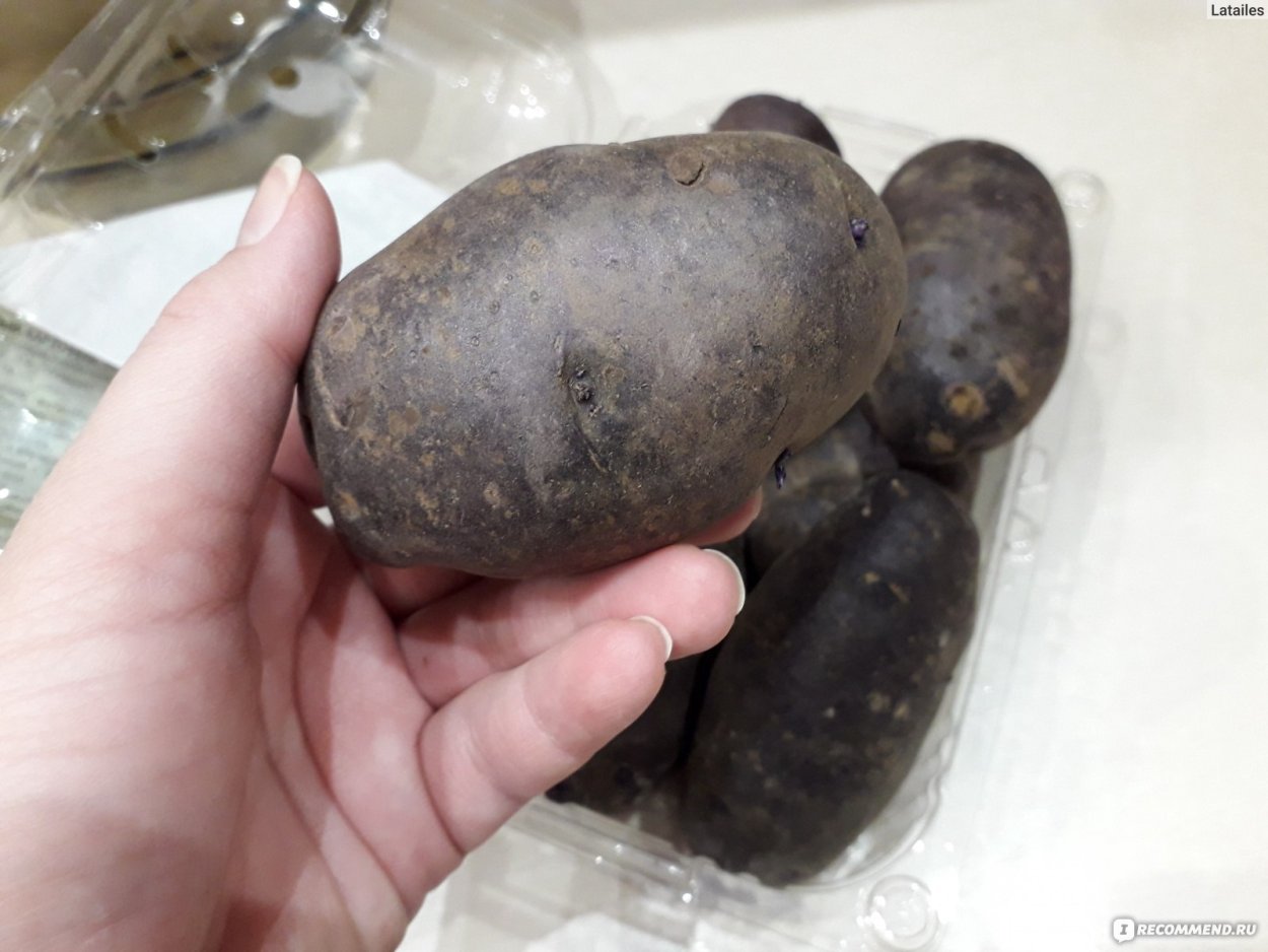 Картофель один