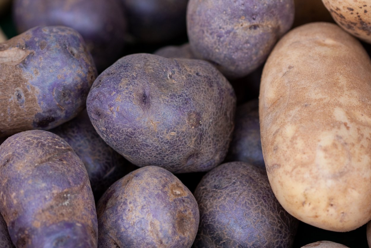 Пирожное крошковое "пинчерята"