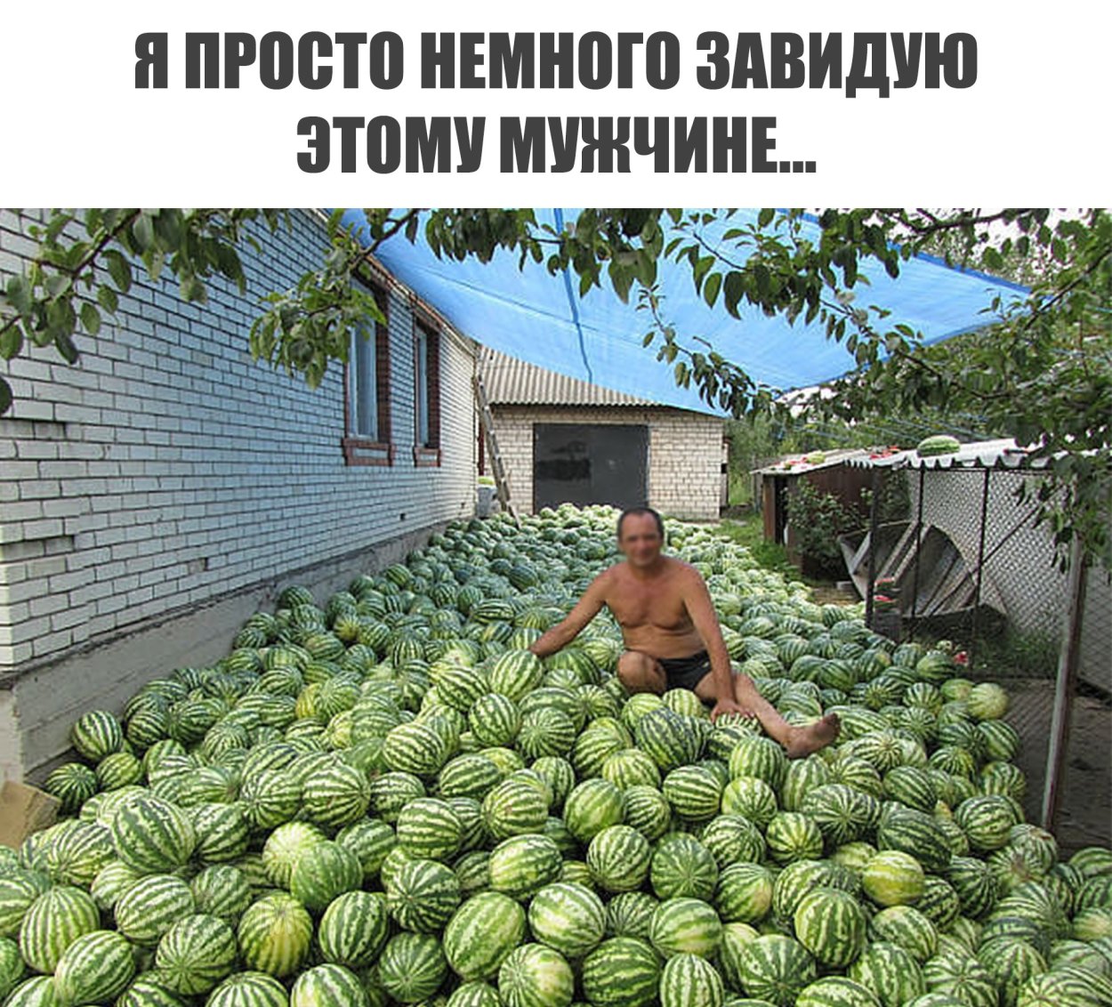 День арбуза открытки