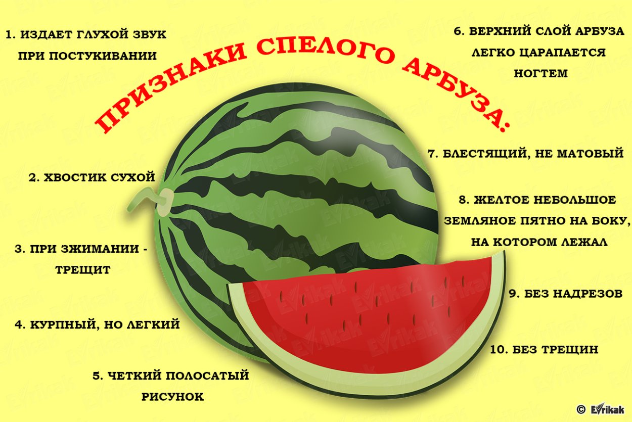 Сахарный Арбуз