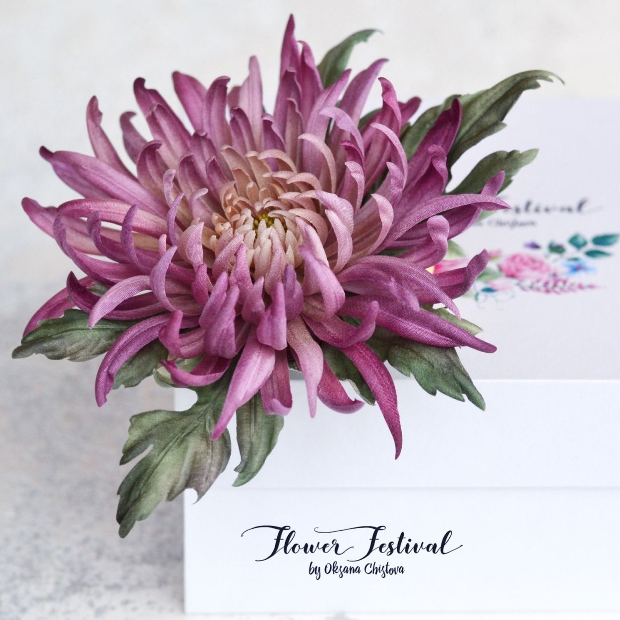 Хризантема кирпичная анемона