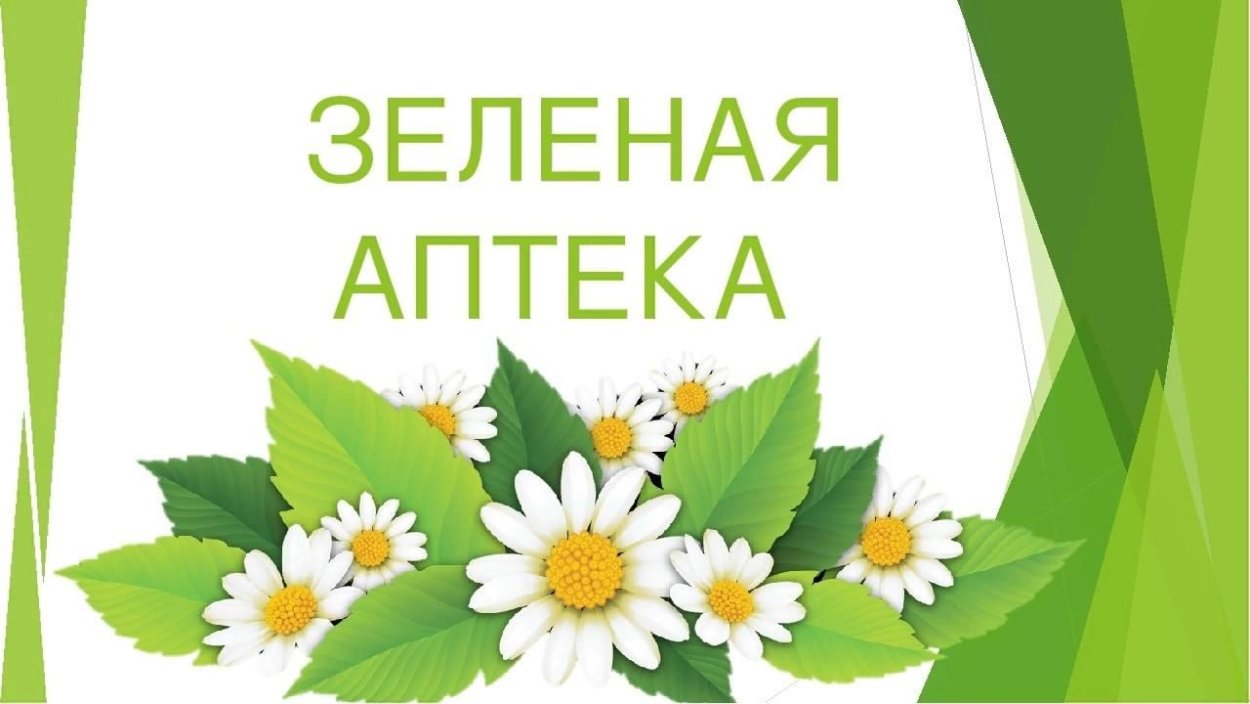 Зеленая аптека