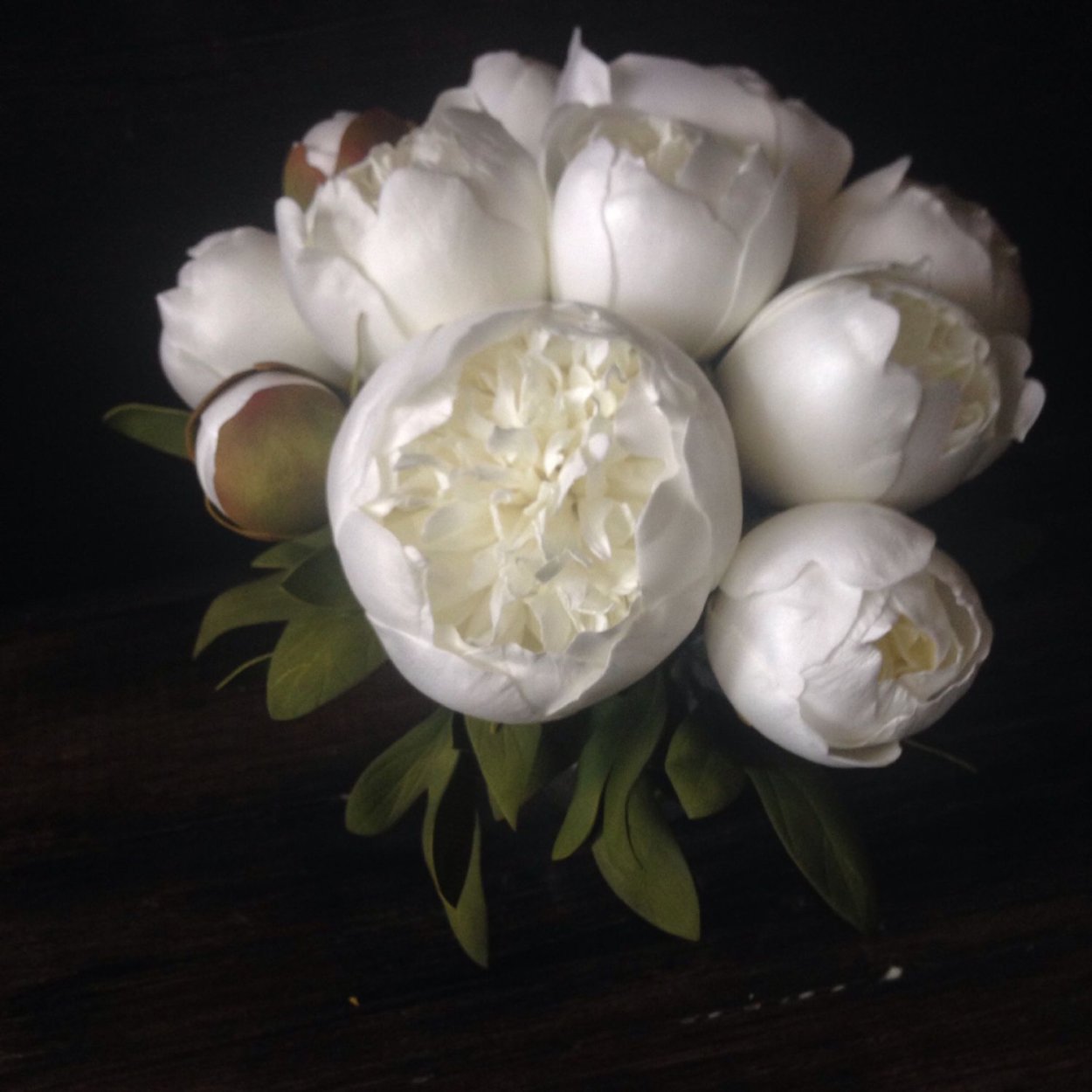 Пионы Duchesse Nemo