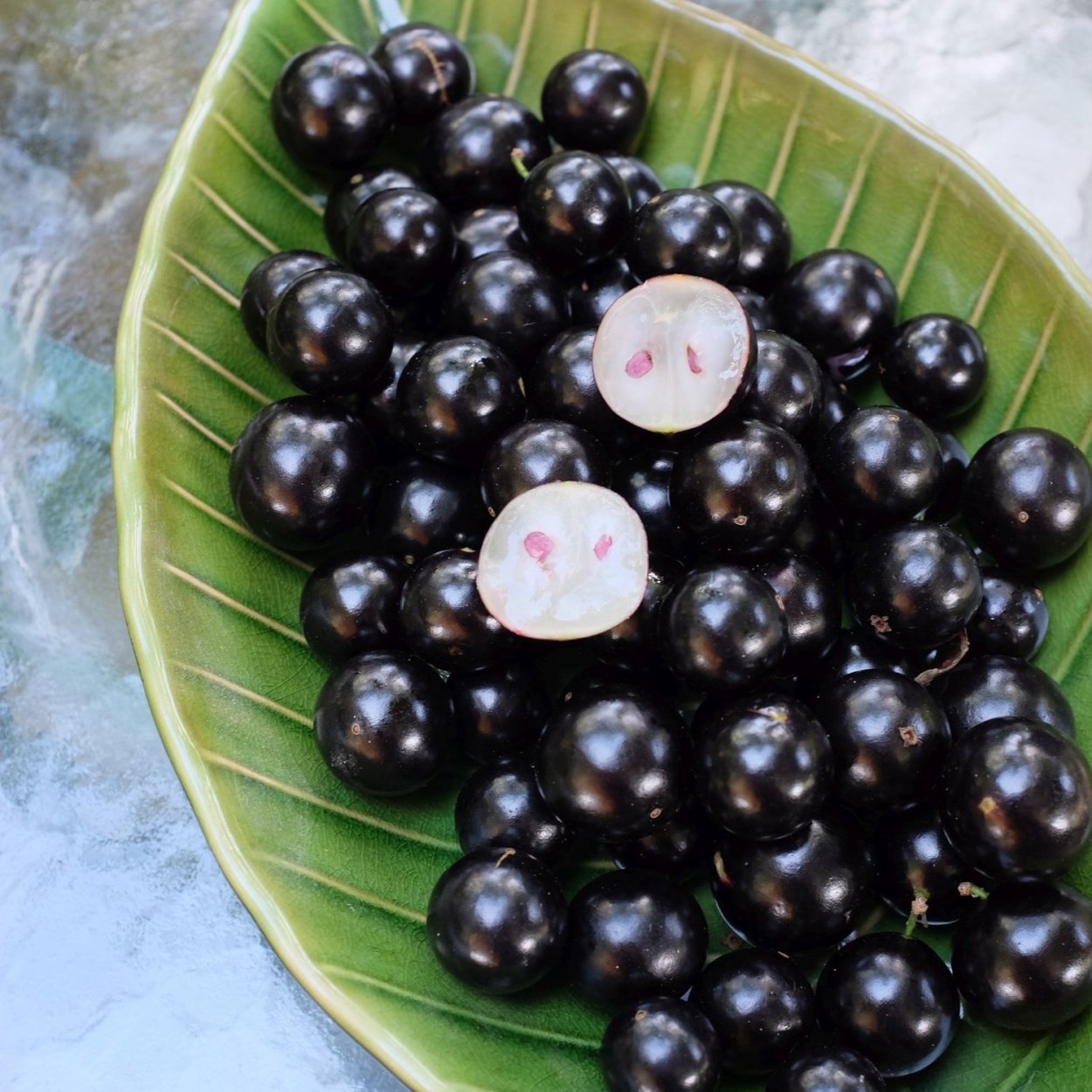 Жаботикаба растение