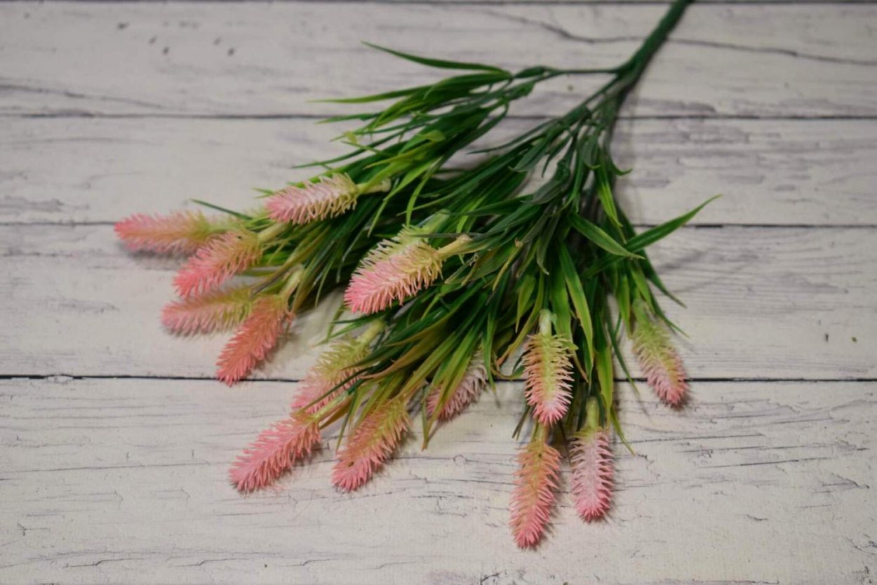 Кровохлебка Лилак Сквирел