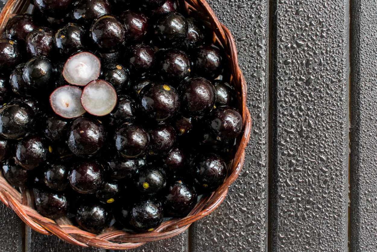 Джаботикаба бразильское виноградное