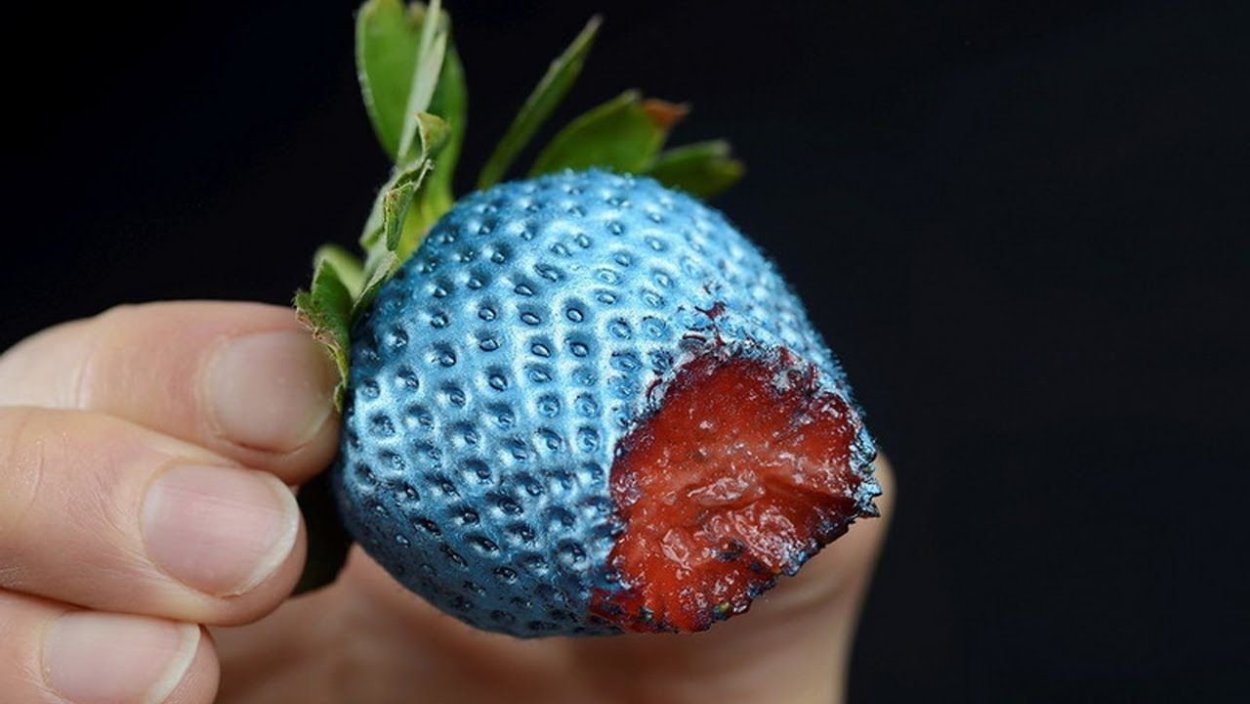 На дереве сининя клубника