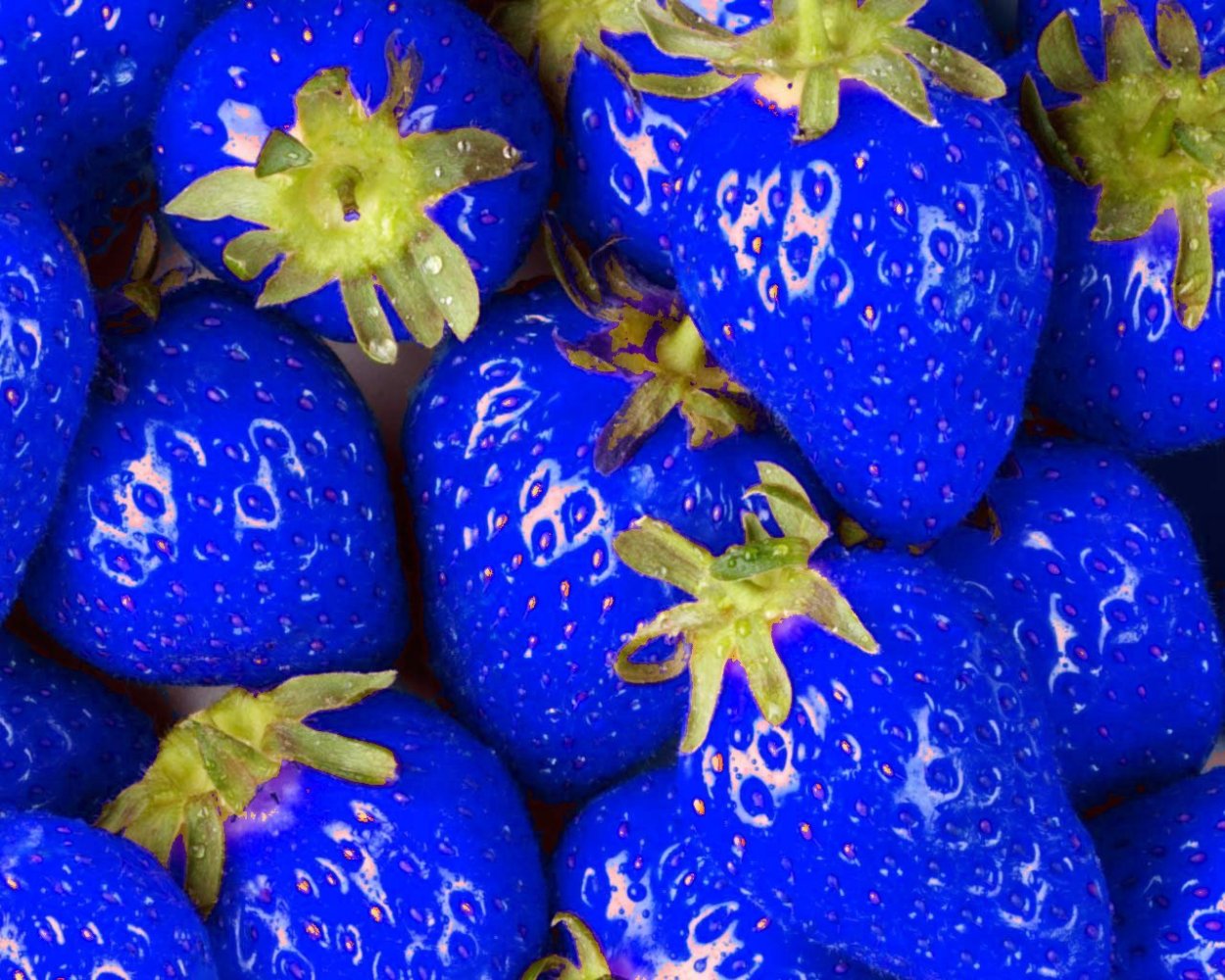 Овощи синего цвета