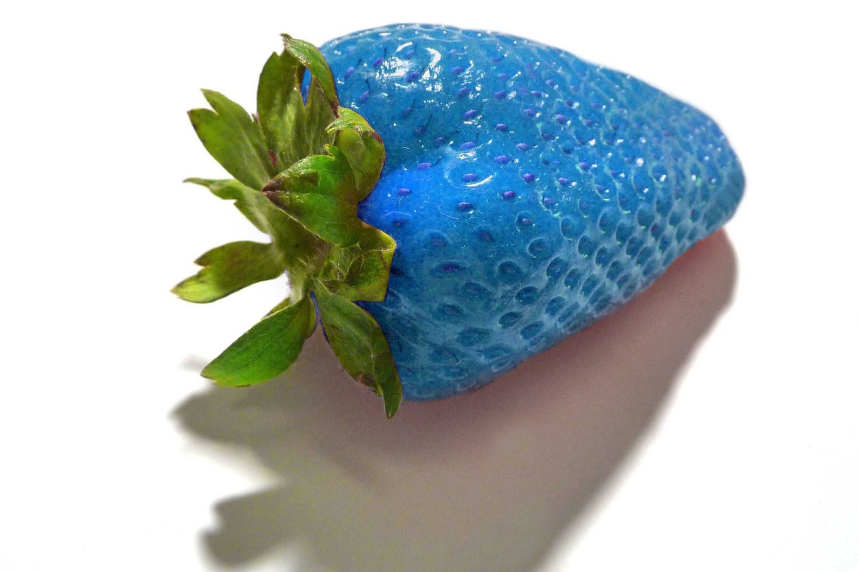 Синяя клубника семена