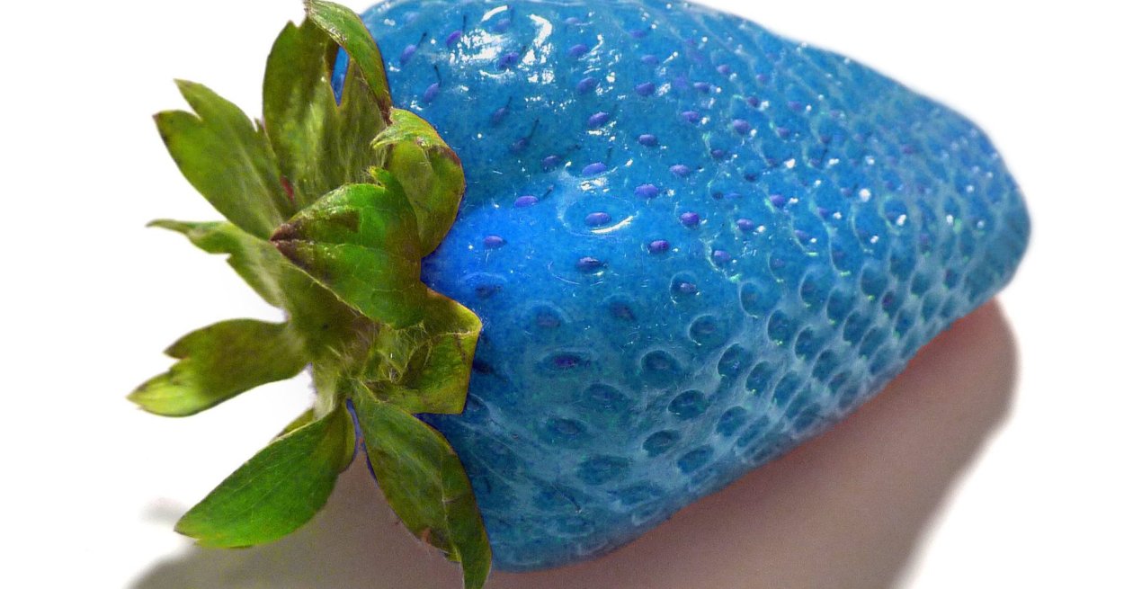 Бывает синяя клубника