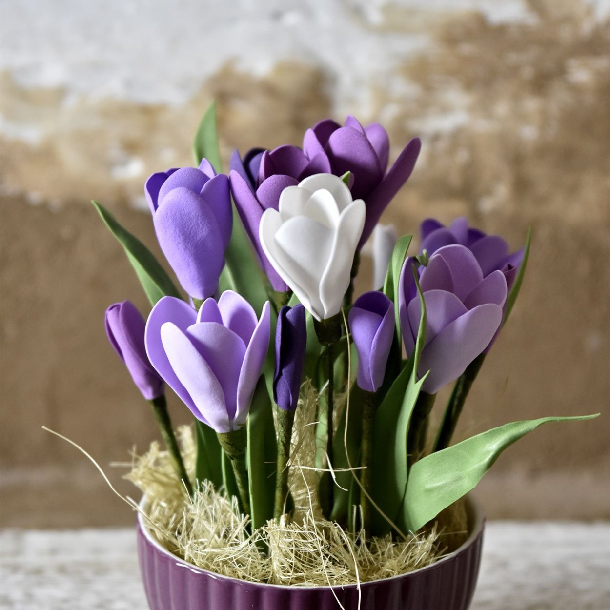 Всходы крокусов в горшках