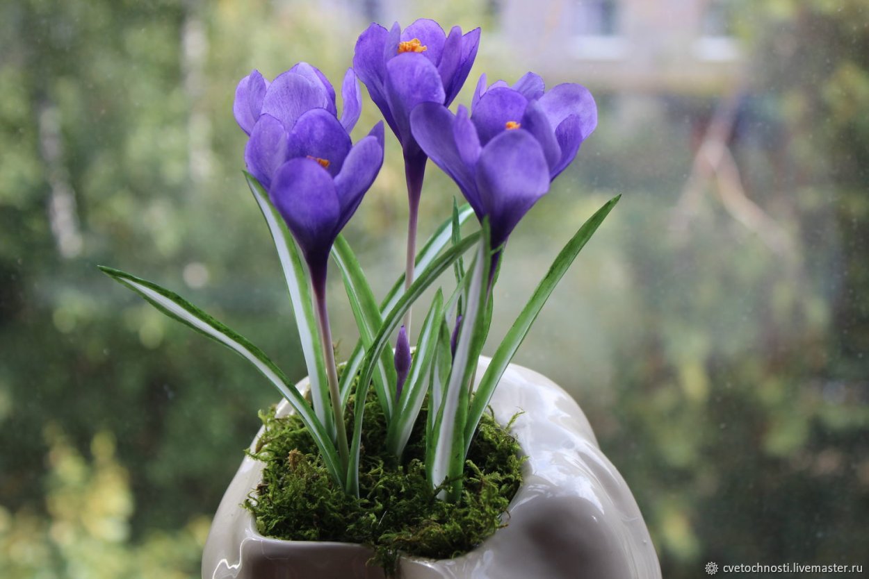 Крокусы из полимерной глины