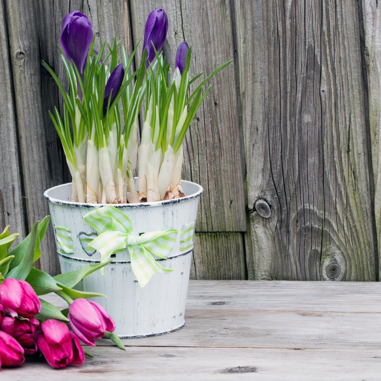 Крокусы из полимерной глины мастер класс