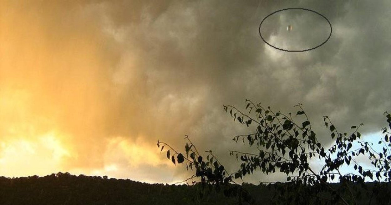 Лес Хойя-бачу в Трансильвании