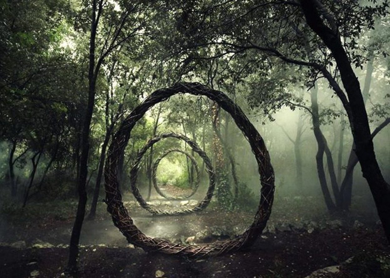 Лес Хойя-бачу в Трансильвании