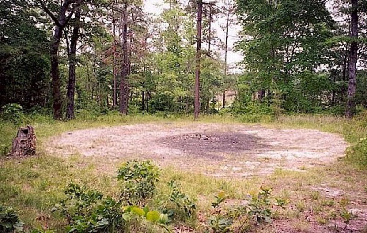 Лес Хойя-бачу