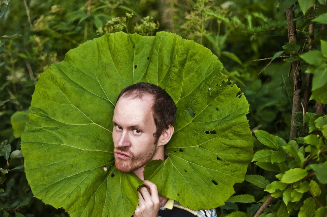 Большие лопухи