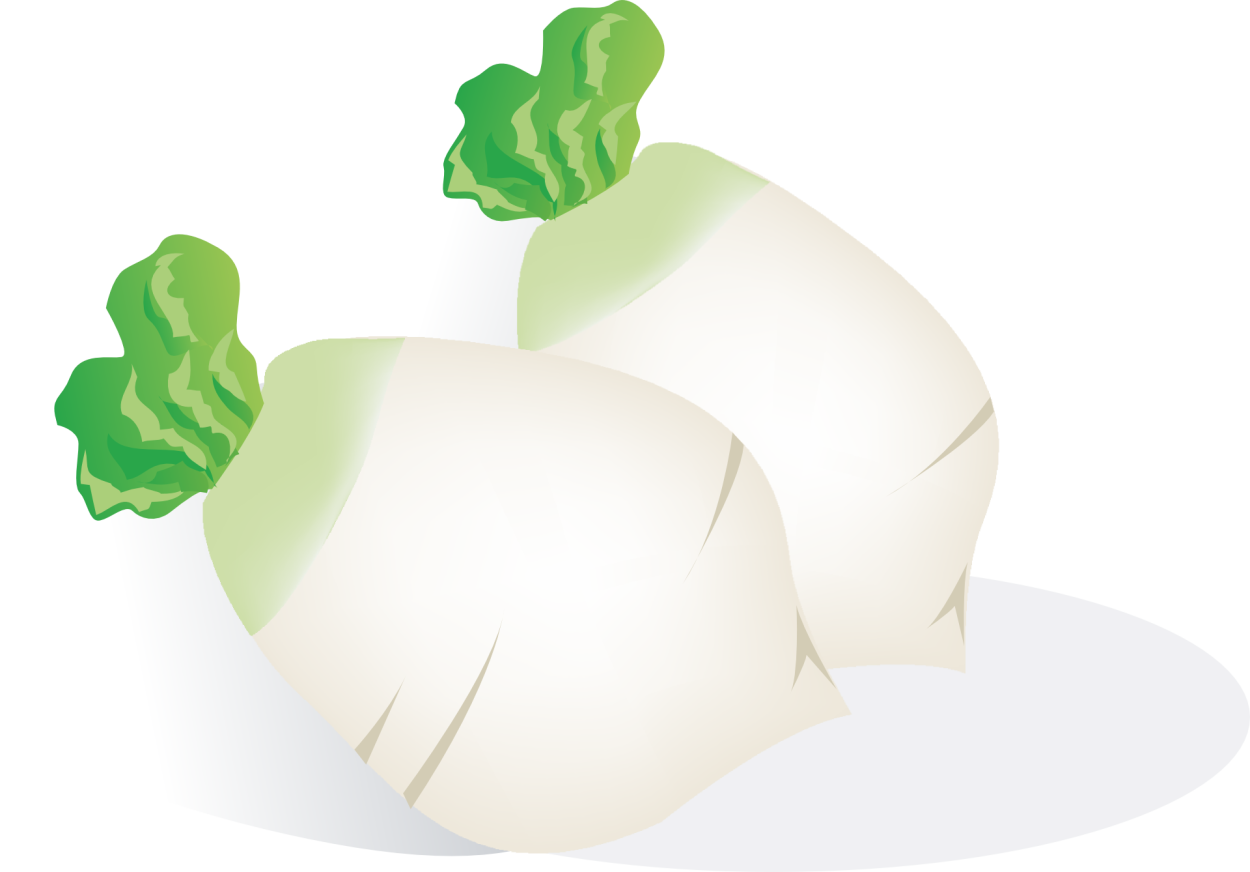 Рисунок репы