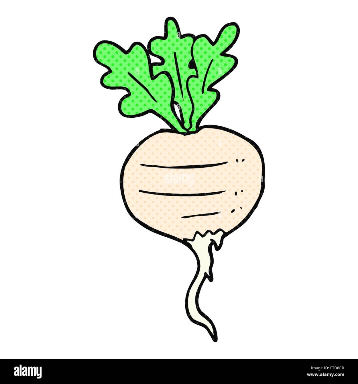 Репа на прозрачном фоне