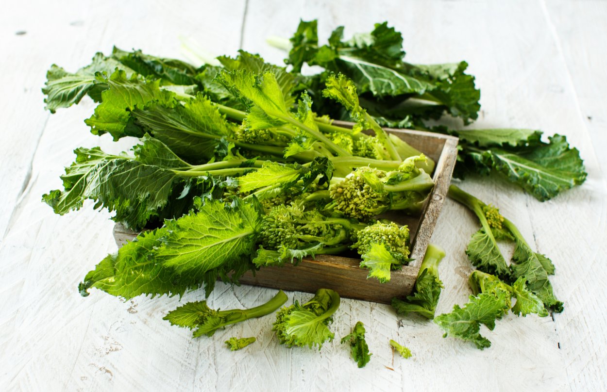 Репа турнепс брюква