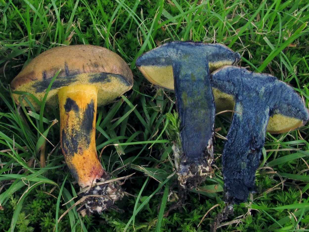 Микшерный пульт Markus LS 82d