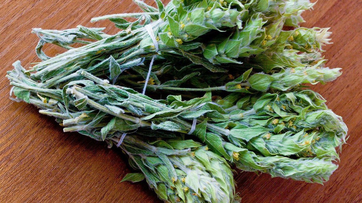 Трава Железница Крымская