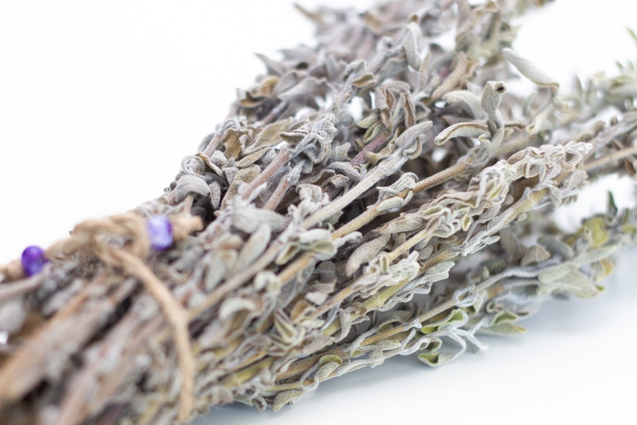 Листья шалфея сырье