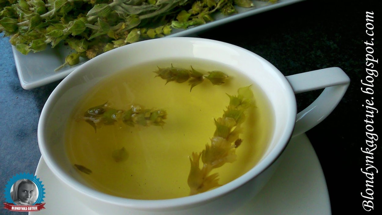 Шалфей Атропурпуреа