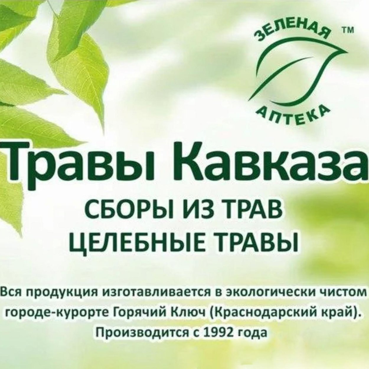 Альпийские Луга Северной Осетии