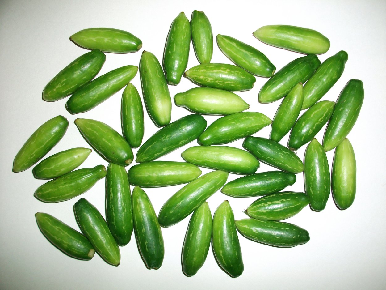 Овощи Индии