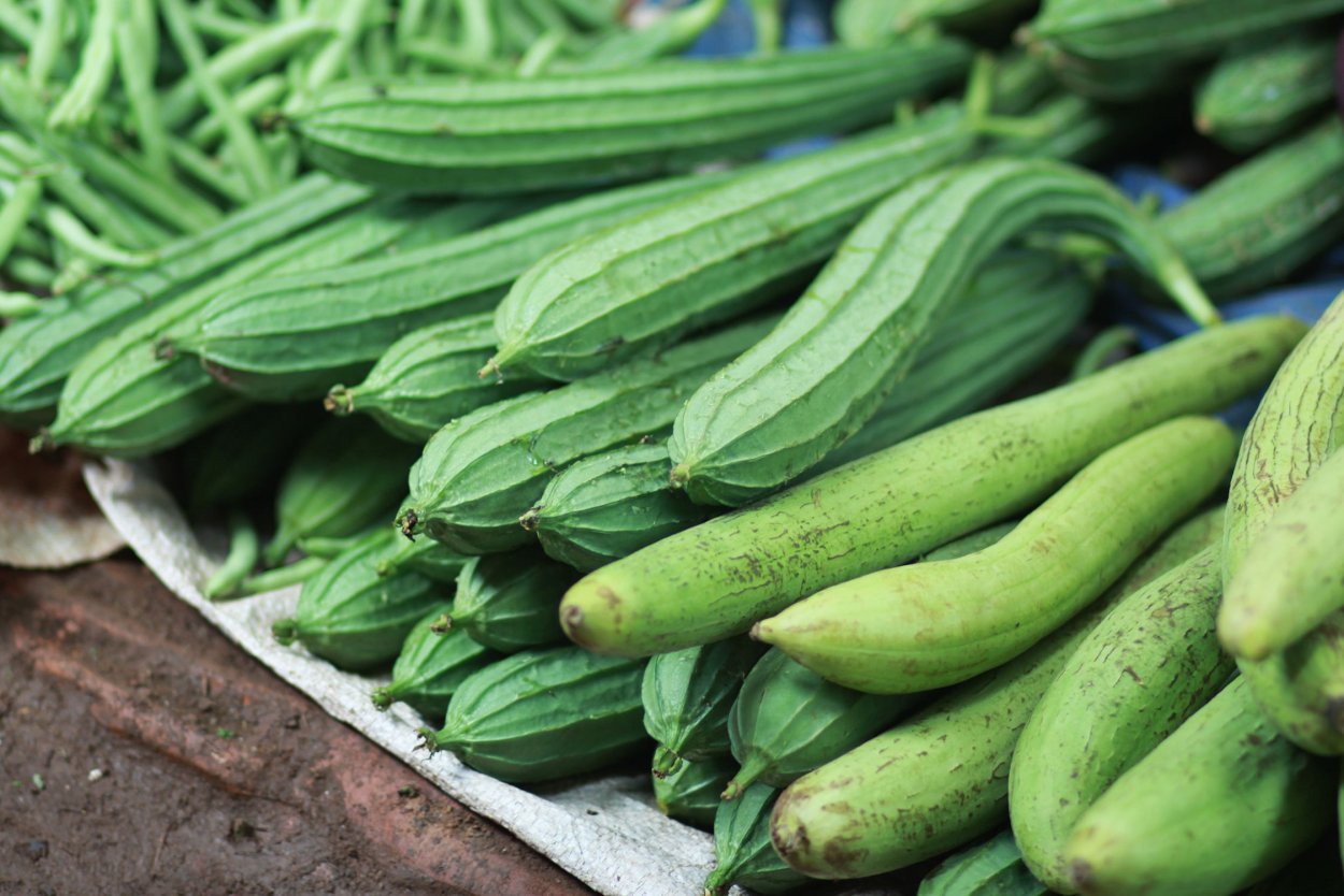 Зеленый овощ длинный