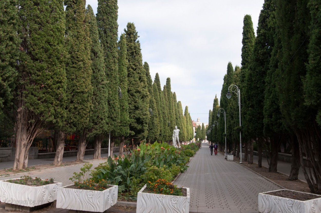 Аллея кипарисов Судак