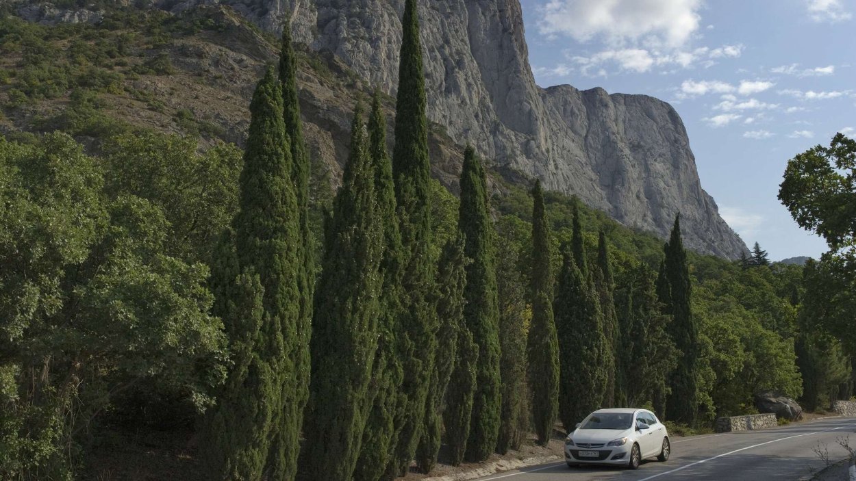 Кипарисная роща, Ялта