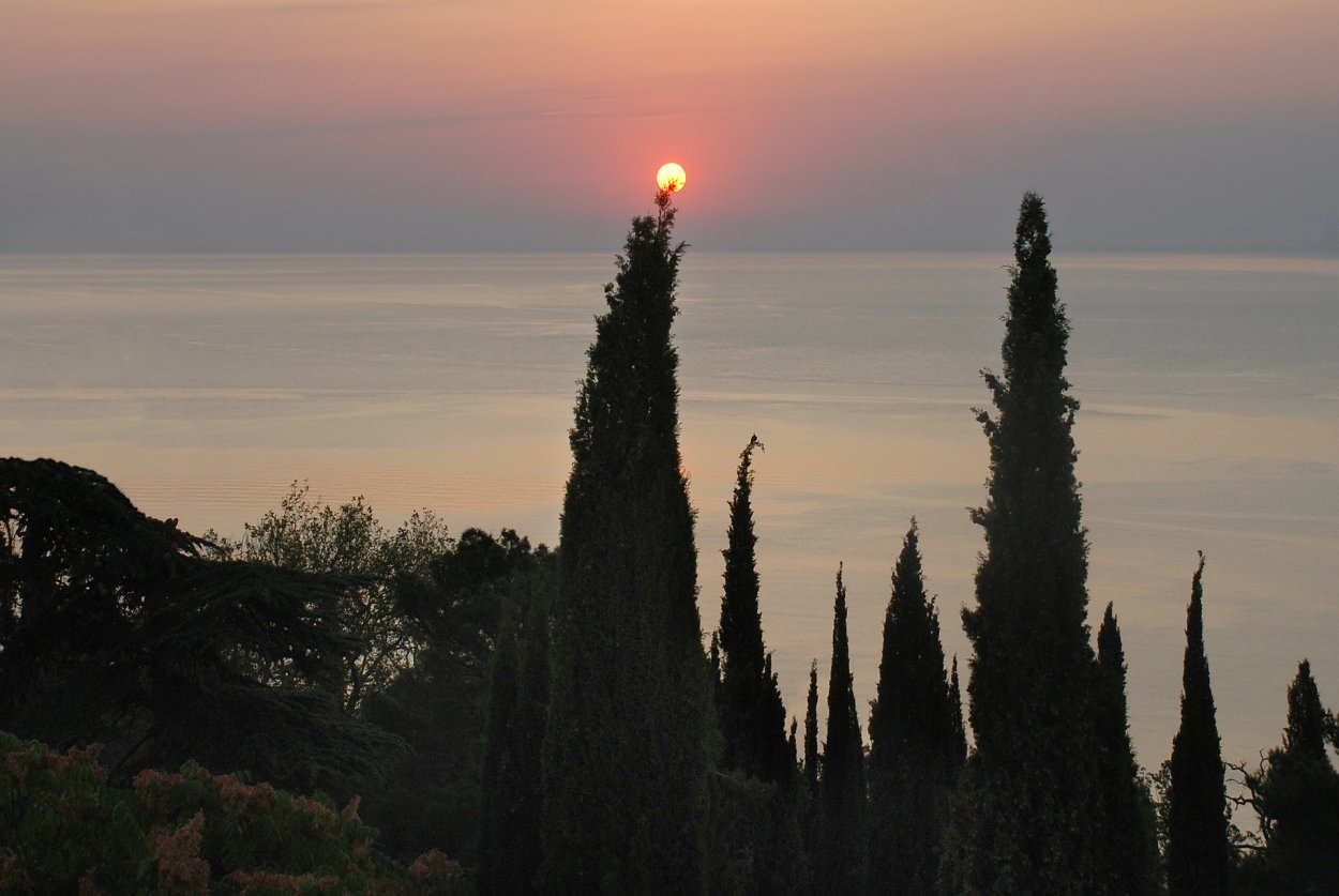 Крым море кипарисы