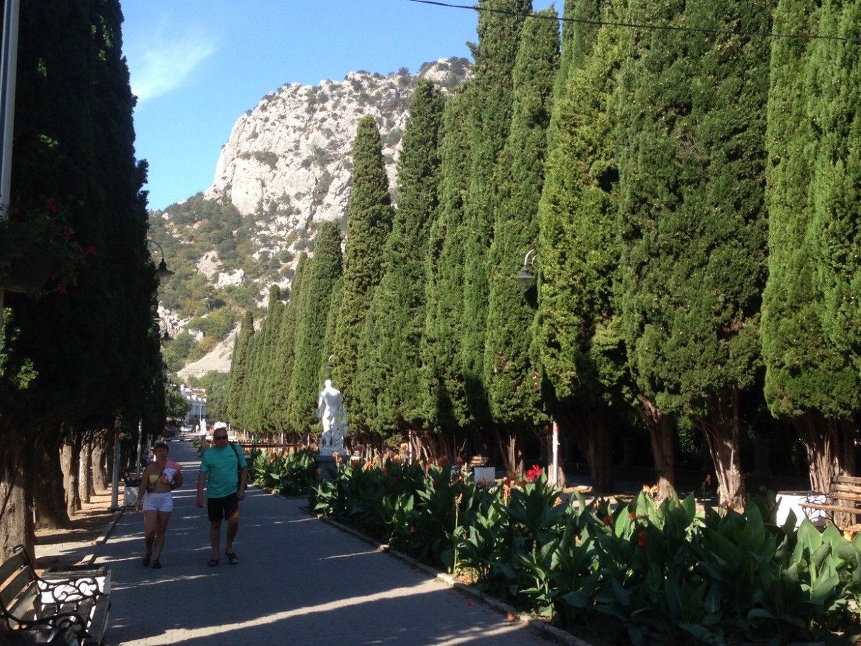 Кипарисовая аллея Ялта