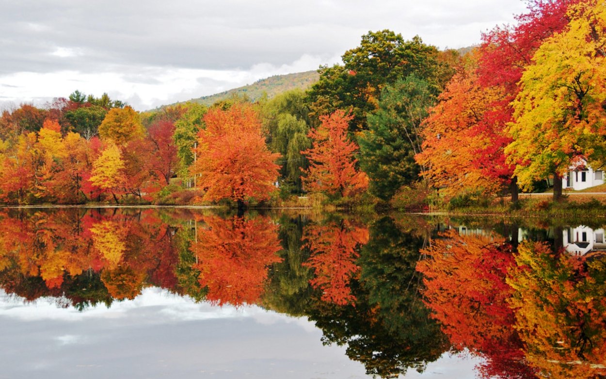 Осень картинки