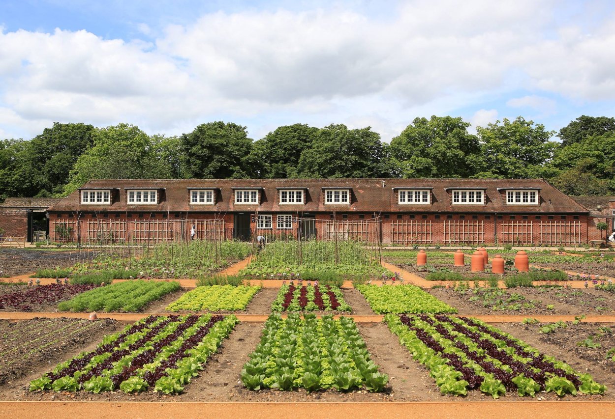 Деревенский огород