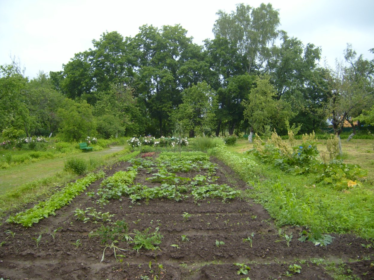 Деревенский дом с огородом