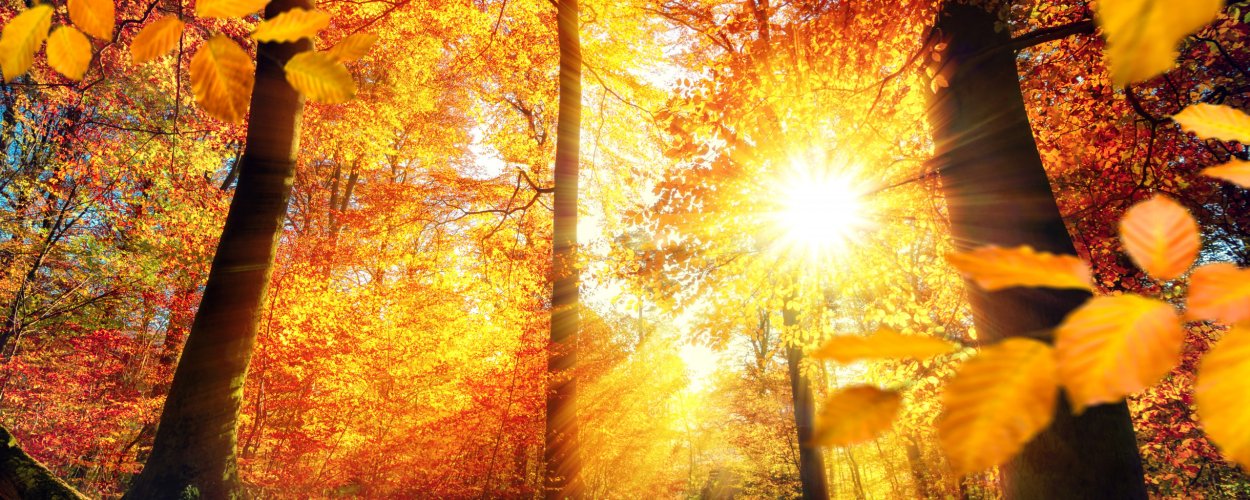 Антонио Вивальди осень