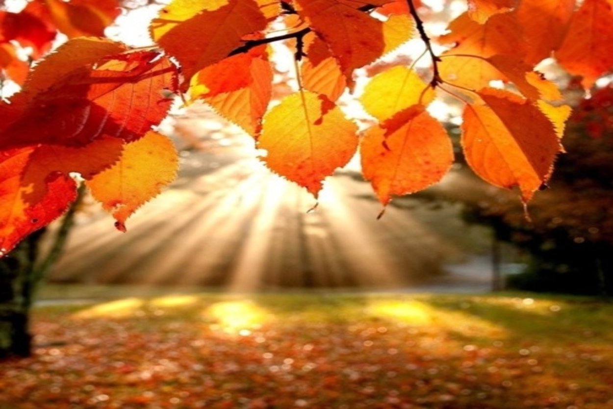 Осенний пейзаж