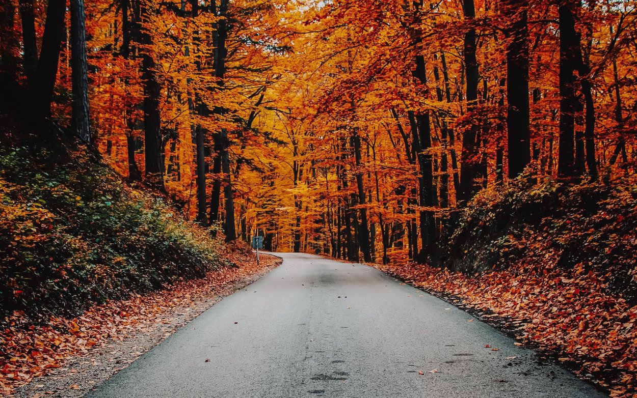 Красивая осень