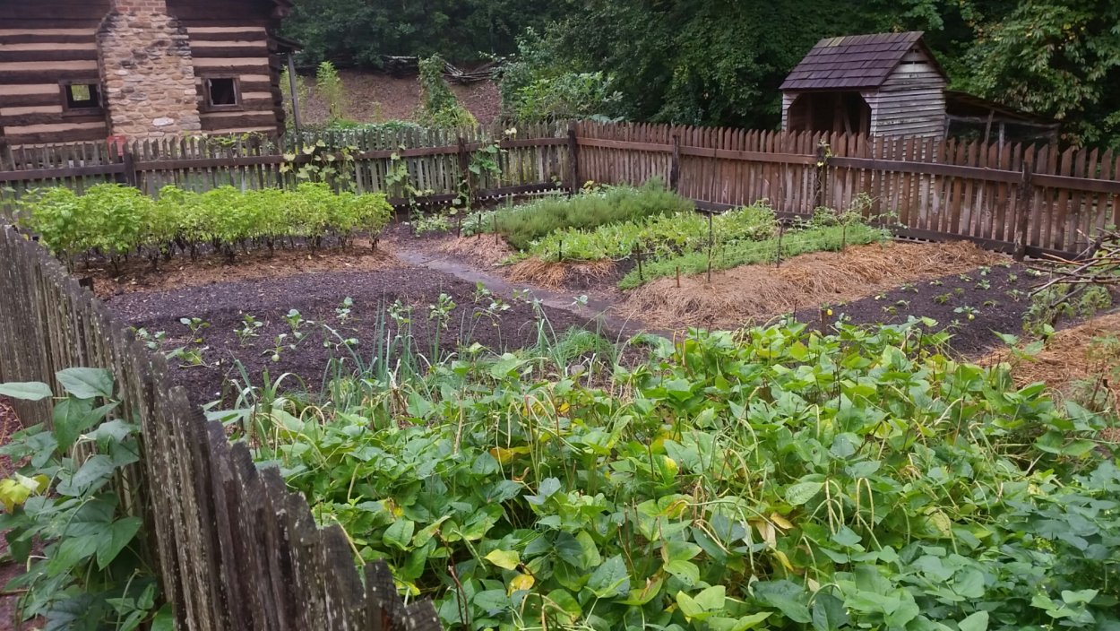 Пермакультура на 4 сотках