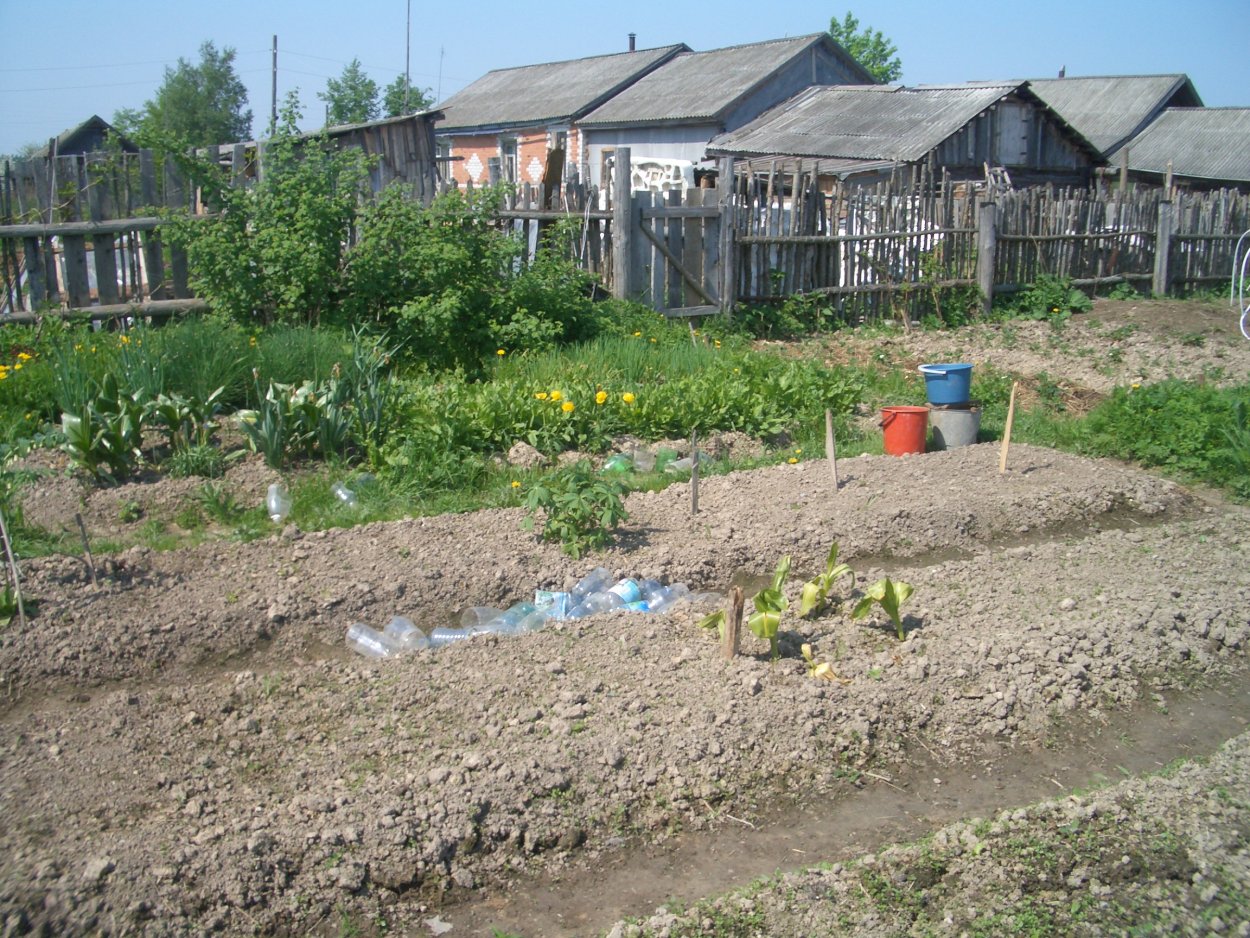 Огород в сельской местности